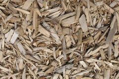 biomass boilers Dirt Pot