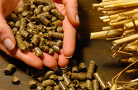 free Dirt Pot biomass boiler quotes